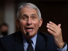 Anthony Fauci, director of National Institute of Allergy and Infectious Diseases at NIH, testifies at a Senate Health, Education, and Labor and Pensions Committee on Capitol Hill,  on Sept. 23, 2020 in Washington, D.C.