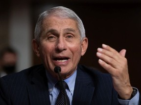 Anthony Fauci, director of National Institute of Allergy and Infectious Diseases at NIH, testifies at a Senate Health, Education, and Labor and Pensions Committee on Capitol Hill,  on September 23, 2020 in Washington, DC.