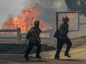 Firefighters react to approaching flames at the Blue Ridge Fire on October 27, 2020 in Yorba Linda, California.