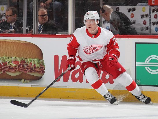 Red Wings' Adam Erne And Taro Hirose Agree To One-year Deals | Canoe.Com