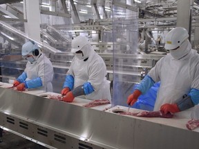 Olymel employees work in one of the company's Quebec hog-slaughtering plants in Yamachiche, July 2020.