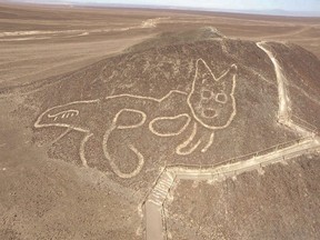 Undated handout picture released by the Peruvian Ministry of Culture, showing a giant cat figure etched into a slope at the UNESCO world heritage site in the desert near the town of Nasca in southern Peru, after its was discovered by archaeologists and the area was cleaned as the geoglyph was barely visible and about to disappear due to erosion.