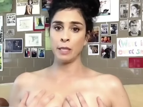 Sarah Silverman is one of many celebrities who took their clothes off in a new election video.