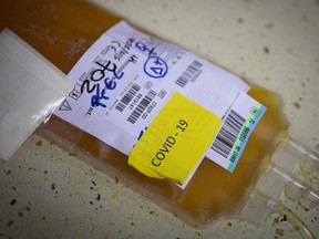 A bag of blood plasma from a donor who has recovered from COVID-19 is pictured at The Blood and Tissue Bank Fundation (Fundacion del Banco de Sangre y Tejidos) in Palma de Mallorca on October 5, 2020 as part of a research project that seeks to prove the effectiveness of plasma from recovered patients for the treatment of COVID-19 patients.