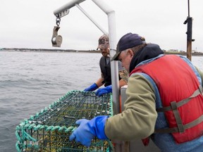 Indigenous lobster fishermen Maurice Blapes and John Lamrock prepare a lobster trap outside the wharf in Saulnierville, N.S., Tuesday, Oct. 20, 2020.