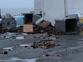 Dead lobster and other refuse are seen strewn around a freezer in West Pubnico, N.S., in a Wednesday, Oct. 14, 2020, handout photo.