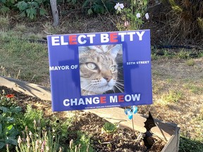 A campaign sign for Betty the cat is seen in this Twitter photo.
