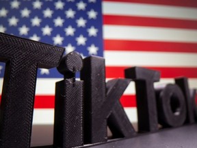 A 3D printed Tik Tok logo is seen in front of U.S. flag in this illustration taken October 6, 2020.