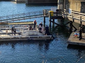 Victoria Police shared this photo on Twitter of a search underway for an individual last seen in the water south of the Johnson Street Bridge on Thursday afternoon.