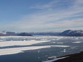 A south view of the Ward Hunt Ice Shelf breaking apart is seen from Ward Hunt Island, Nunavut, in an Aug. 20, 2011, handout photo.