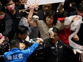 Taiwan lawmakers throw pork intestines at each other during a scuffle in the parliament in Taipei, Taiwan, November 27, 2020.