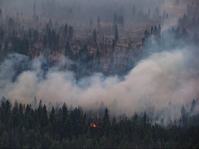 The Shovel Lake wildfire burns near the Nadleh Whut'en First Nation in Fort Fraser, B.C., on Thursday, Aug. 23, 2018.