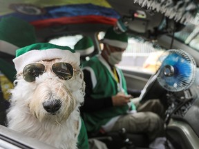 Nicolas Walteros, 52, sits inside a taxi with his dog Colonel using Santa's hats, amid the spread of the coronavirus disease (COVID-19) pandemic, in Bogota, Colombia December 23, 2020.
