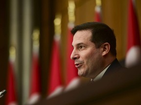 Minister of Immigration, Refugees and Citizenship Marco Mendicino holds a press conference in Ottawa, Thursday, Nov. 12, 2020.