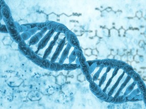 DNA molecules.