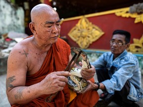 Buddhist monk Wilatha feeds a rescued Burmese python at his monastery that has turned into a snake sanctuary on the outskirts of Yangon, Myanmar, November 26, 2020.