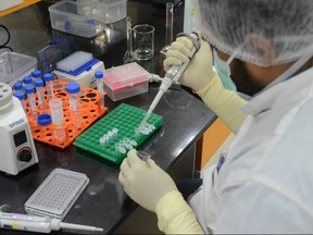 A research scientist works inside a laboratory of India's Serum Institute, the world's largest maker of vaccines, which is working on vaccines against COVID-19 in Pune, India, May 18, 2020.