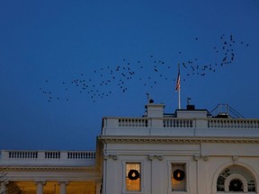 Birds fly over the White House at dusk in Washington, U.S., December 10, 2020.