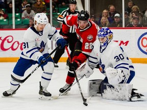 Logan Brown was sent down to the Belleville Senators earlier this week. The team begins its season on Friday at the Bell Centre.