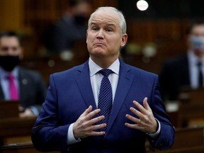 Conservative Party leader Erin O'Toole speaks during Question Period in the House of Commons on Parliament Hill in Ottawa, Feb. 3, 2021.