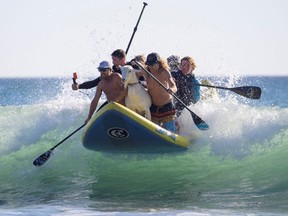 Dana McGregor, left, and Pismo his surfing goat catch a wave with friends while surfing with kids in San Clemente, Calif., March 19, 2021.