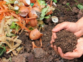 Hands are holding composted earth.