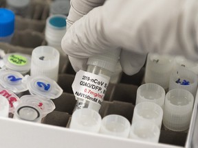 In this file photo Dr. Nita Patel, Director of Antibody discovery and Vaccine development, lifts a vial with a potential coronavirus, COVID-19, vaccine at Novavax labs in Gaithersburg, Md., on March 20, 2020.