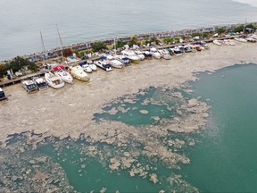 An aerial view shows a thick layer of "sea snot," consisting of a wide variety of microorganisms, that covers the sea near the coast in the Bostanci harbour in Istanbul, Turkey May 31, 2021.