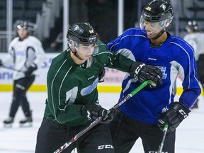 Bryce Montgomery (right) has fun with Logan Mailloux during London Knights practice at Budweiser Gardens in London, Ont. on Wednesday Sept. 4, 2019.