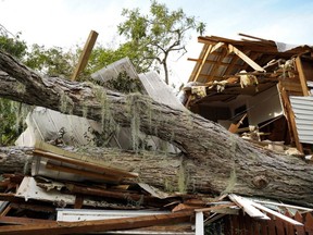 A fallen tree rests on a storm-damaged home in Madisonville, Louisiana, Tuesday, Aug. 31, 2021. Tropical Storm Ida made landfall as a category 4 hurricane Sunday in Louisiana and brought flooding and wind damage along the Gulf Coast.