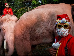 Elephants wearing Santa Claus costumes with giant face masks walk while delivering hand sanitizers and promoting a "get vaccinated" message to a primary school in the historical city of Ayutthaya, Thailand, December 24, 2021.