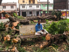 A man sits on a bench amid trees that were uprooted and fell on a public garden in the centre of Antsirabe after Cyclone Batsirai hit the African island nation of Madagascar, Sunday, Feb. 6, 2022.