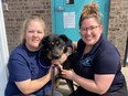 So-called 'gay' dog dumped at shelter by owners who thought he was gay gets adopted by gay couple.