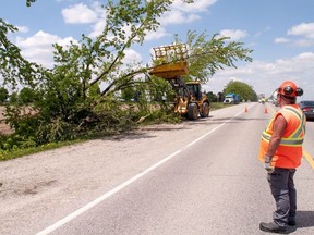 Oxford County workers remove a felled along 11th Line near Tavistock on Tuesday. Crews in the region were cleaning up after a powerful storm wreaked havoc in southern Ontario and Quebec on Saturday. In harder-hit communities at least 10 people have died. The storm also led to more than 1,400 broken poles, 300 broken crossarms and nearly 200 damaged transformers in Ontario. The province's hydro utility said Tuesday morning that more than 148,000 customers were still without power.