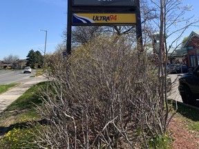 Gas prices across the GTA jumped to $1.99.9 per litre on Monday, May 9, 2022.