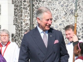 Prince Charles is seen in March 2020.