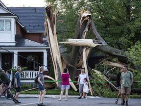 Anwohner und Gemeindemitglieder versammeln sich, um einen Baum zu betrachten, der am Samstag, dem 21. Mai 2022, in Ottawa bei einem schweren Sturm zerstört wurde.