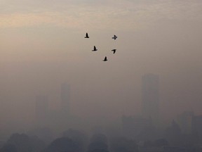Birds fly on a smoggy morning in Jakarta, Indonesia, May 27, 2022.