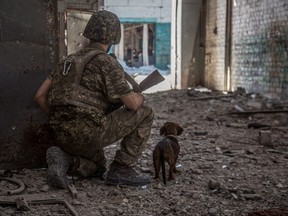 Ein ukrainisches Militärmitglied mit einem Hund beobachtet im Industriegebiet der Stadt Sjewjerodonezk, wie Russlands Angriff auf die Ukraine weitergeht, 20. Juni 2022.