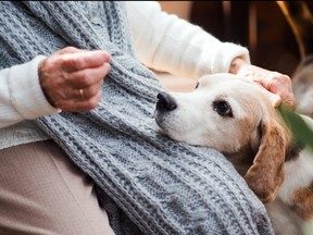 Family drama has a reader hesitating about how to bid farewell to a pet.