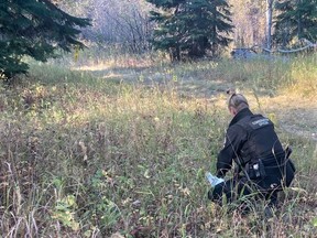 The B.C. Conservation Officer Service is investigating after three people were injured ? two seriously ? in a black bear attack near Dawson Creek on Oct. 3, 2022.