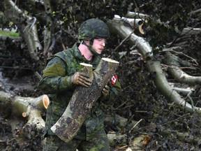 Cpl. Brandon McRae of the Cape Breton Highlanders removes brush under the direction of Nova Scotia Power officials in Glace Bay, N.S., Sept. 26, 2022.