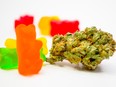 THC gummy bears with cannabis.