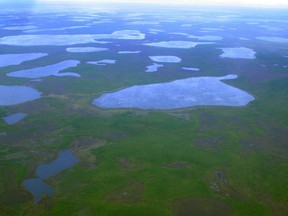 An aerial view shows thermokarst lakes outside the town of Chersky in northeast Siberia August 28, 2007.