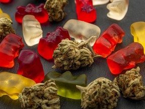 Cannabis edibles, medical marijuana, CBD infused gummies and edible pot are seen.
