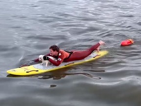 Chase McColl, a marine safety officer with the Long Beach Fire Department, used a paddleboard to rescue Tofu the dog from the Pacific Ocean in California on Tuesday, March 11, 2023.