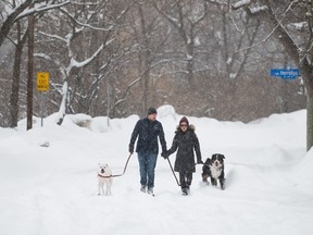 People and their dogs make their way through the Old Ottawa East neighbourhood of Ottawa, Saturday, March 4, 2023.