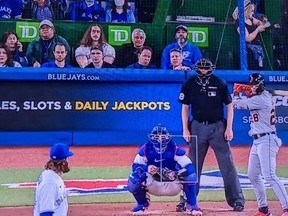 Screenshot of fans behind home plate of Blue Jays and Tigers game.