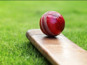 Close-up of red cricket ball and bat sitting on grass