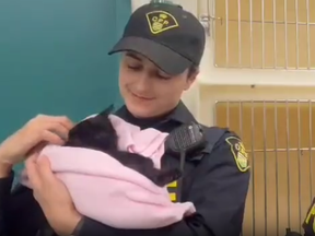 A screengrab from video of an OPP constable holding a kitten that was tossed from a vehicle.